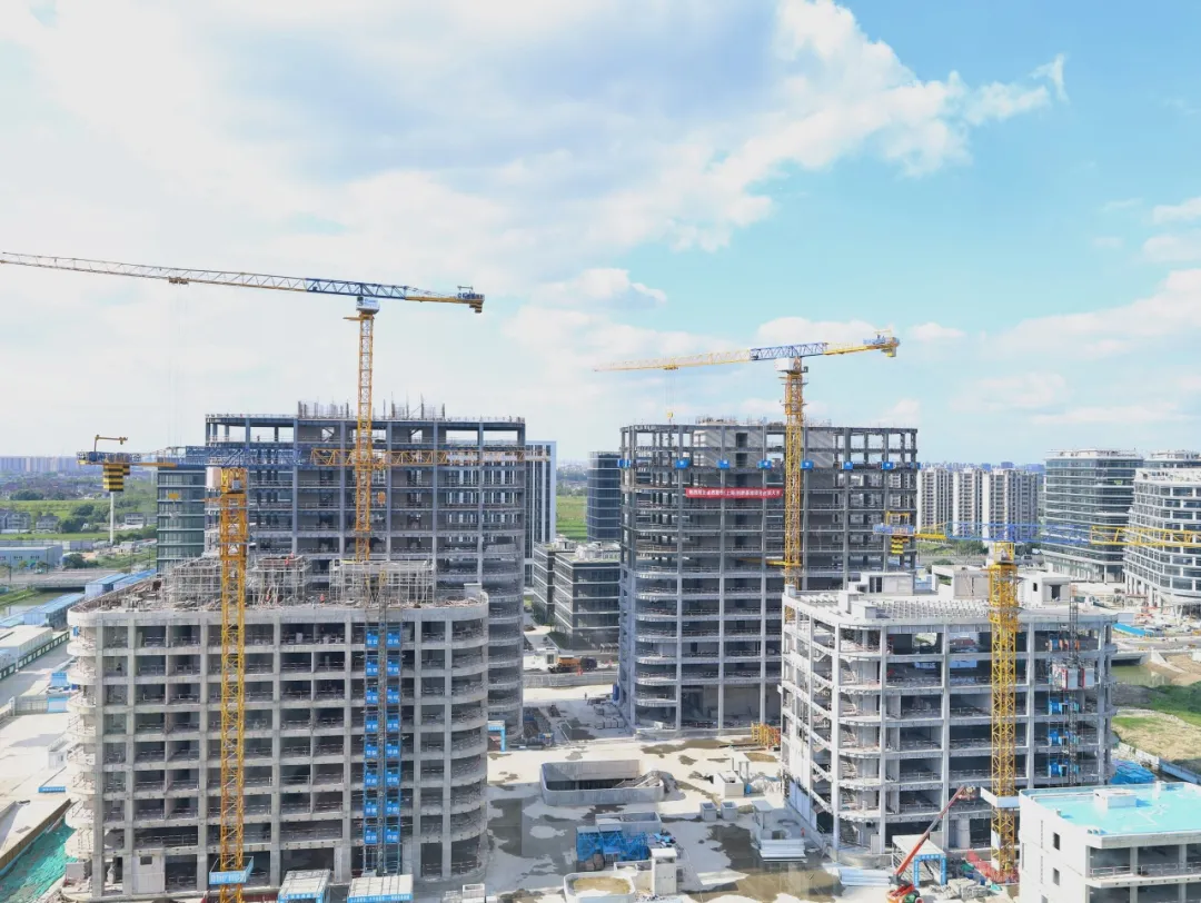 同心同向 造炬成阳 | U8国际2024年第三季度动态速览 同心同向 造炬成阳 | U8国际2024年第三季度动态速览